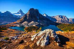 Mt. Assiniboine and Wedgewood Peak-1179